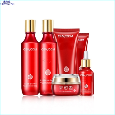 丹姿_红石榴护肤套装